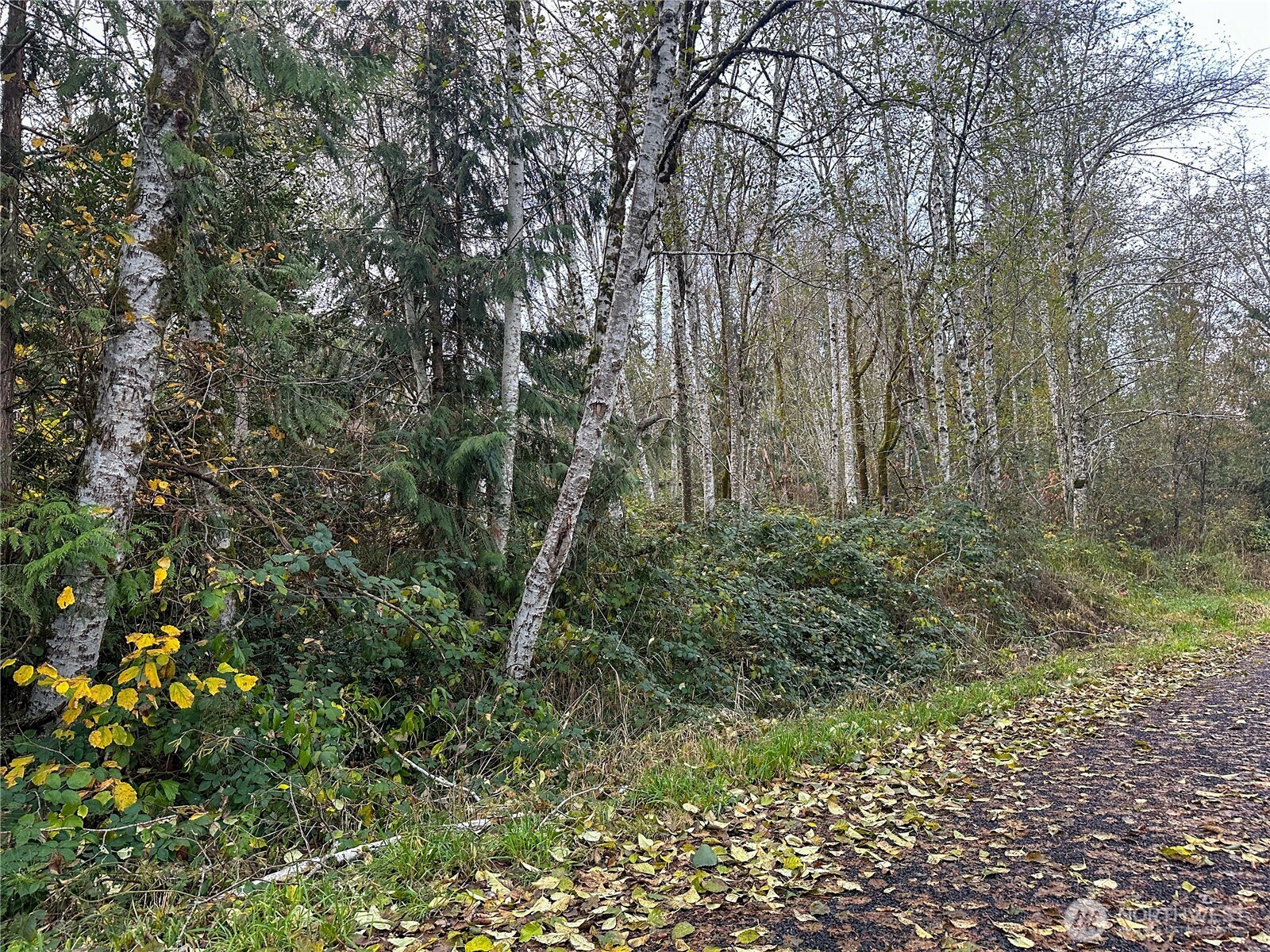 7605 Lakeside Street SW, Olympia, WA 98512