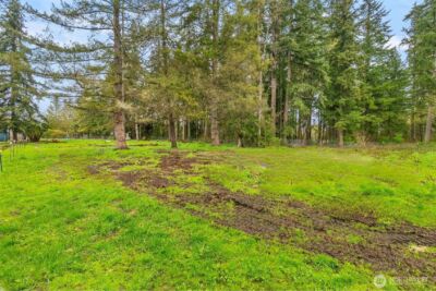 7716 304th Street E, Graham, WA 98338 - Photo 26