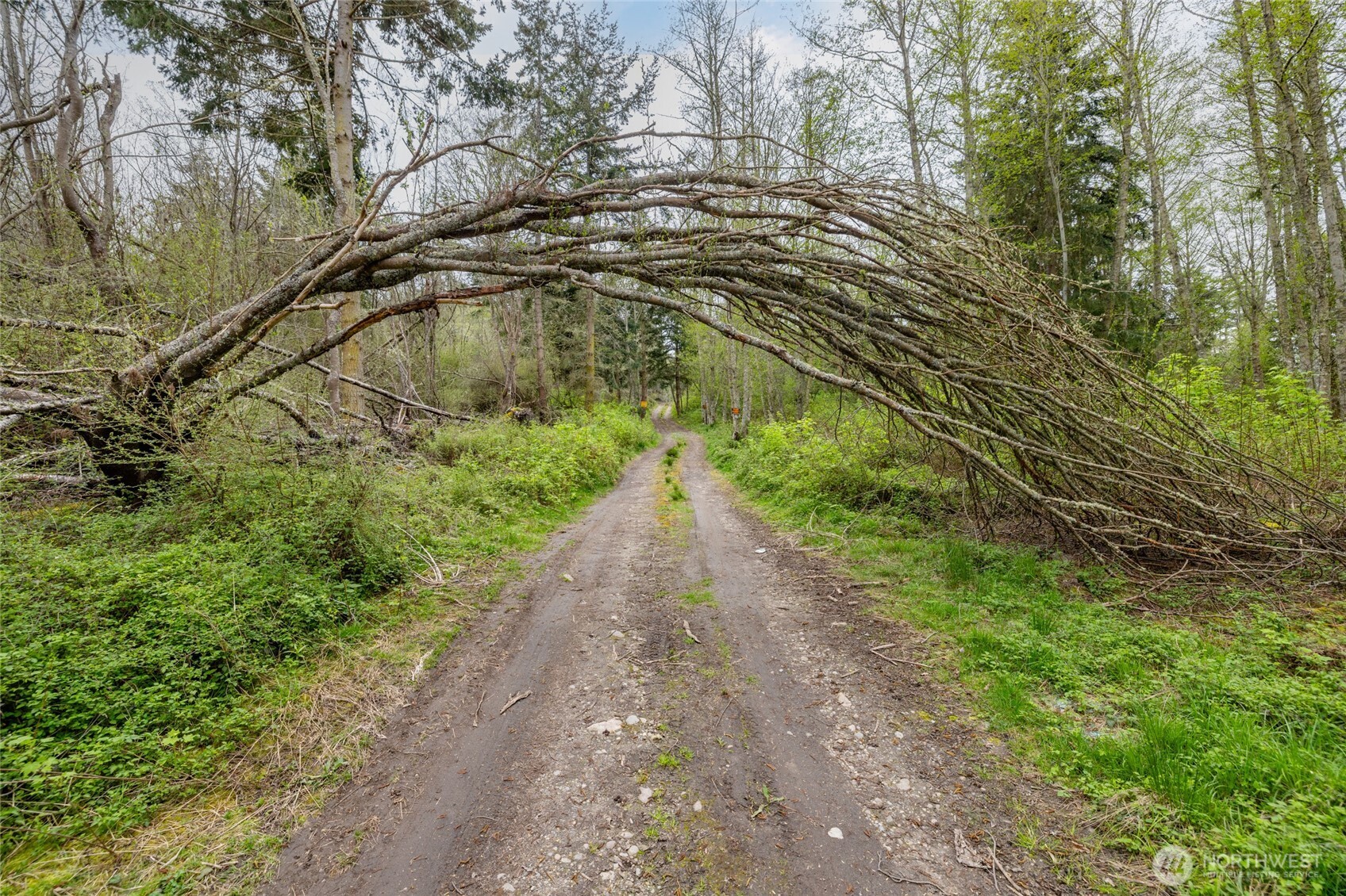 0 W Ault Field Road (Lot 2) , Oak Harbor, WA 98277