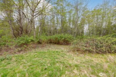 0 W Ault Field Road (Lot 1 & 2) , Oak Harbor, WA 98277
