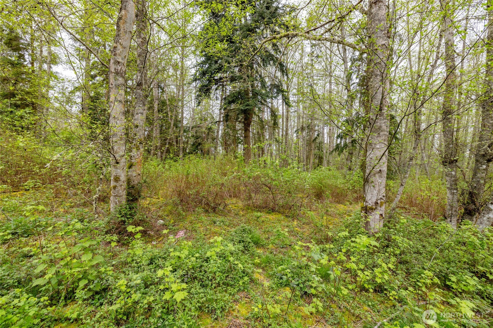0 W Ault Field Road (Lot 1 & 2) , Oak Harbor, WA 98277