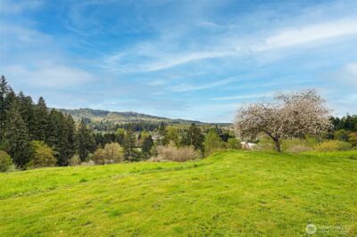 351 Butte Hill Road , Woodland, WA 98674 - Photo 27