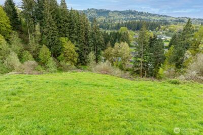 351 Butte Hill Road , Woodland, WA 98674 - Photo 34