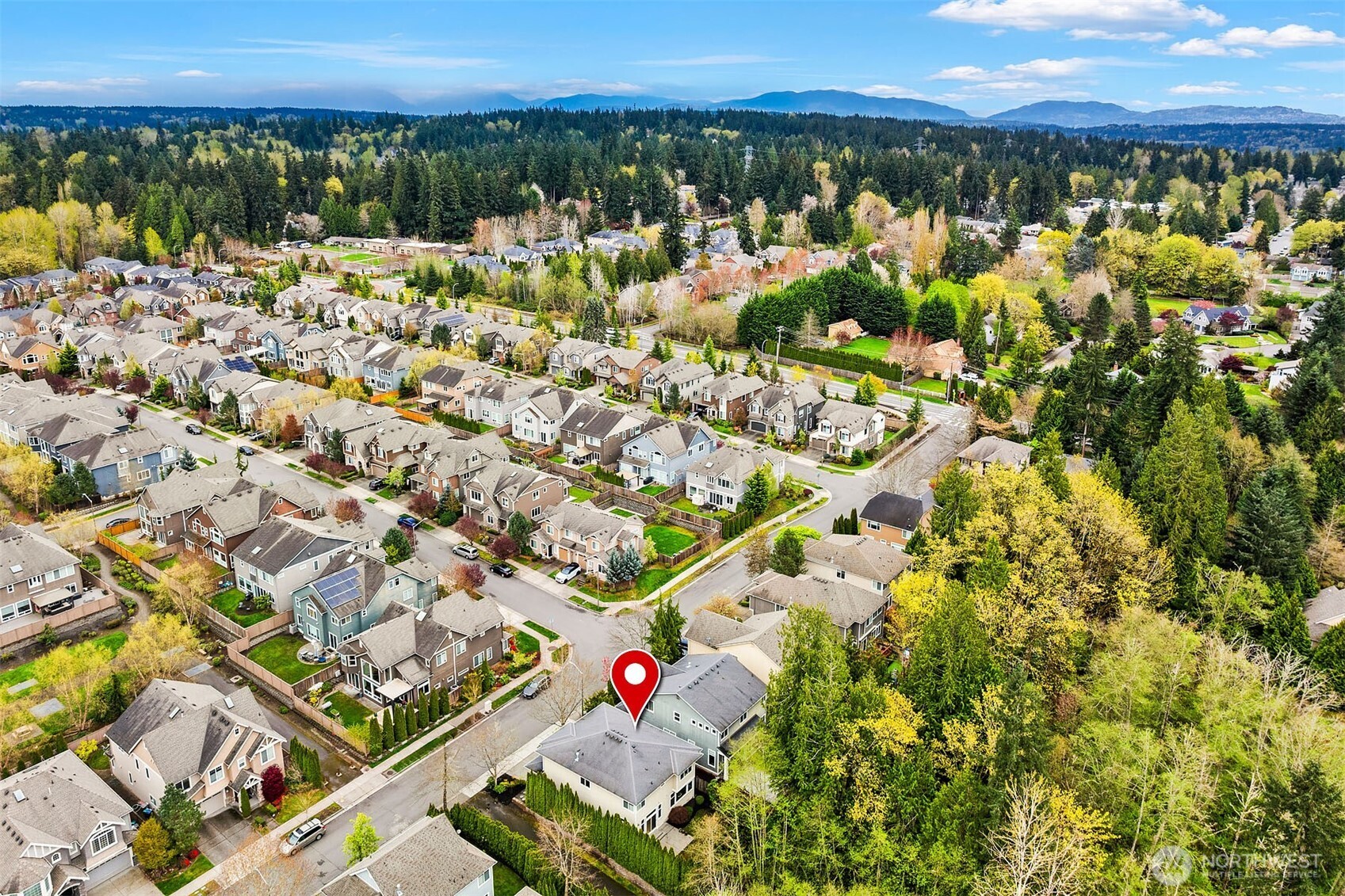 11787 159th Avenue NE, Redmond, WA 98052