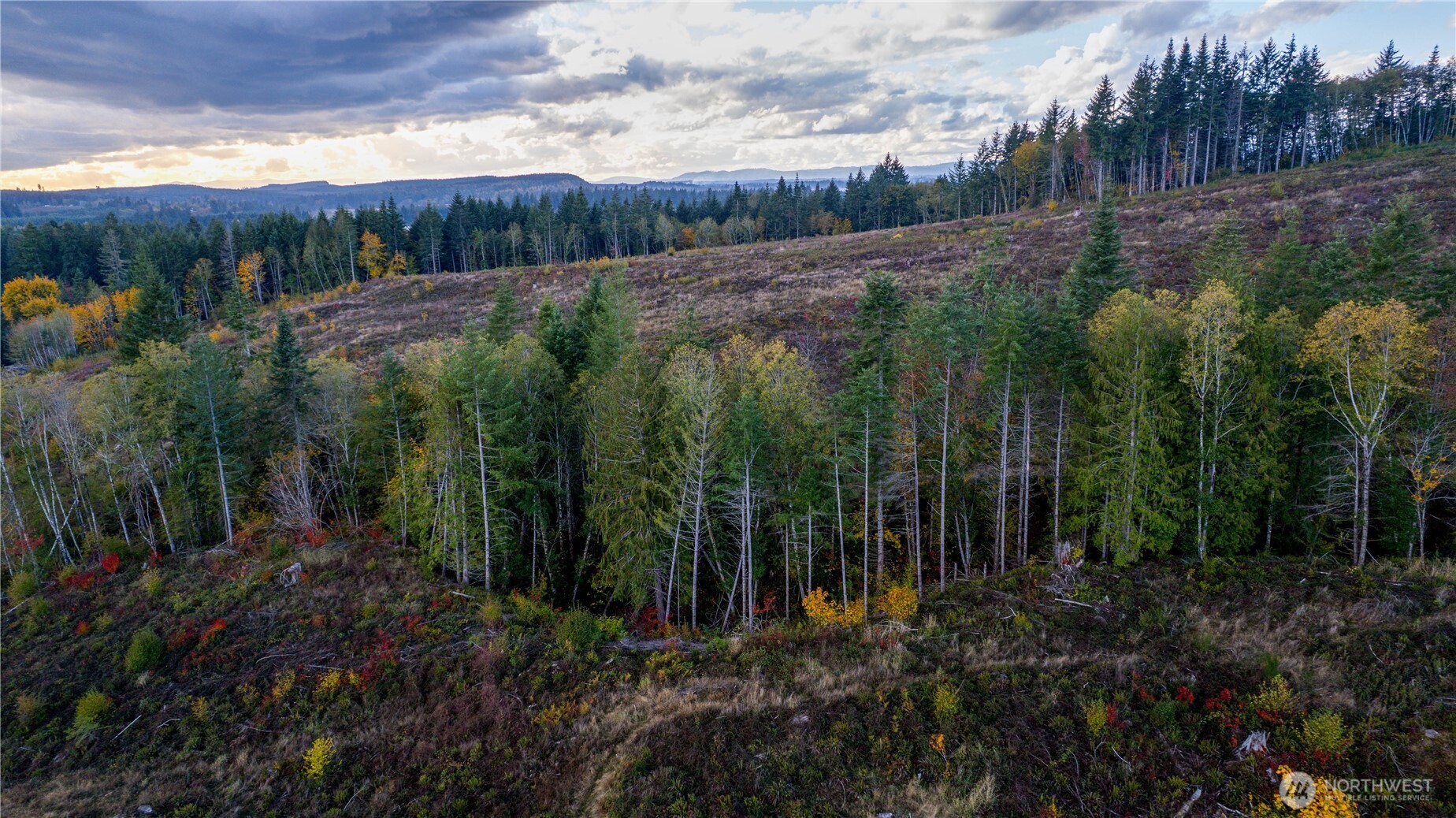 17942 Northcraft Road SE, Tenino, WA 98589