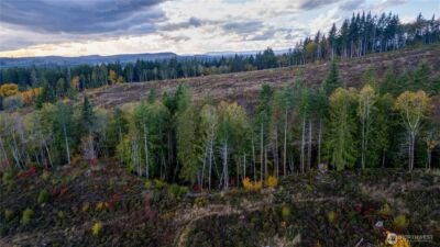 17942 Northcraft Road SE, Tenino, WA 98589 - Photo 12