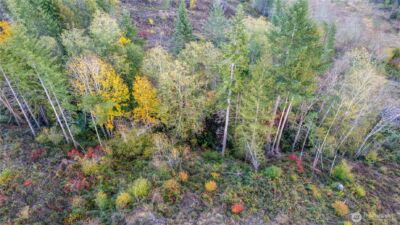 17942 Northcraft Road SE, Tenino, WA 98589 - Photo 13