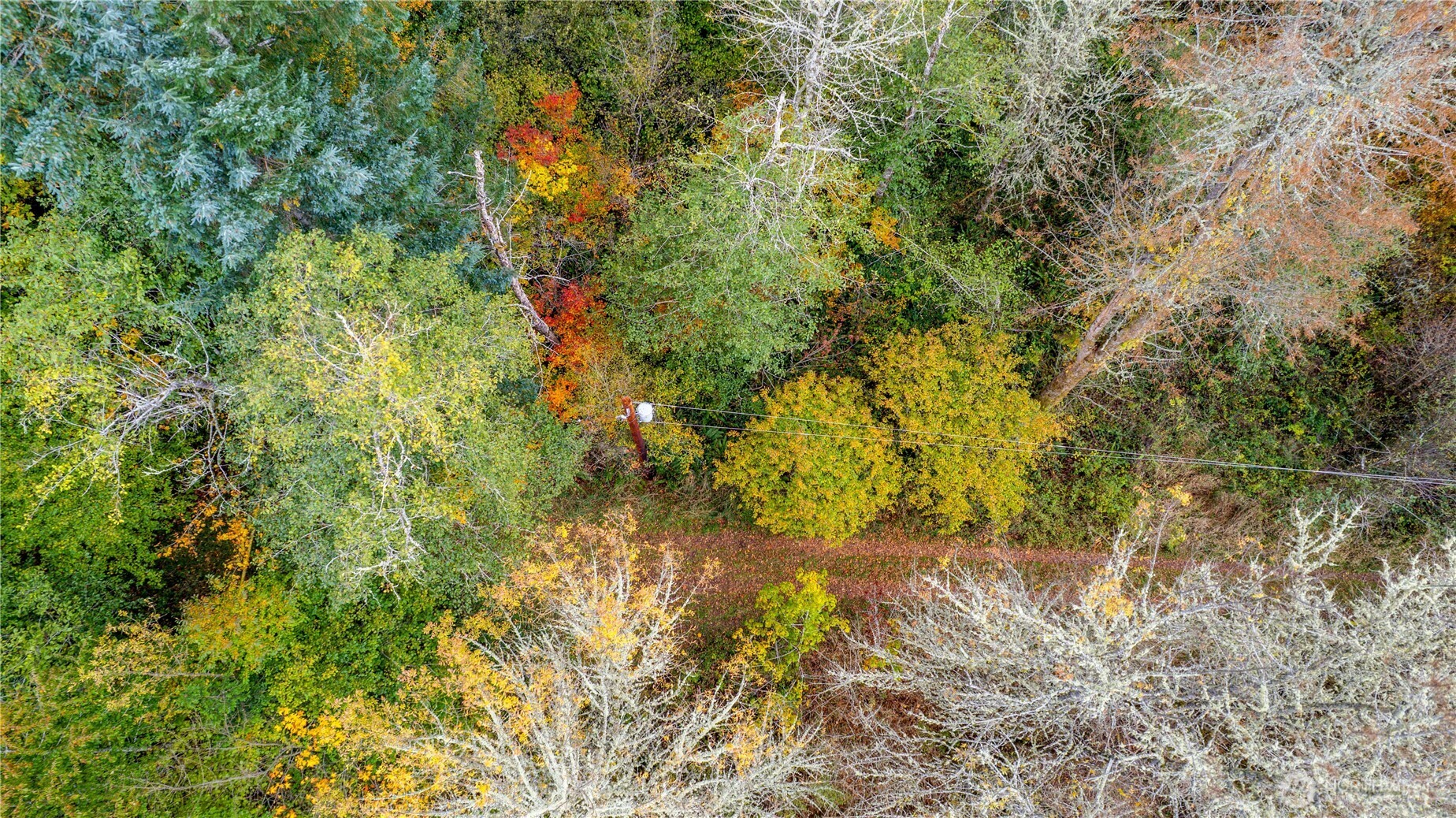 17942 Northcraft Road SE, Tenino, WA 98589