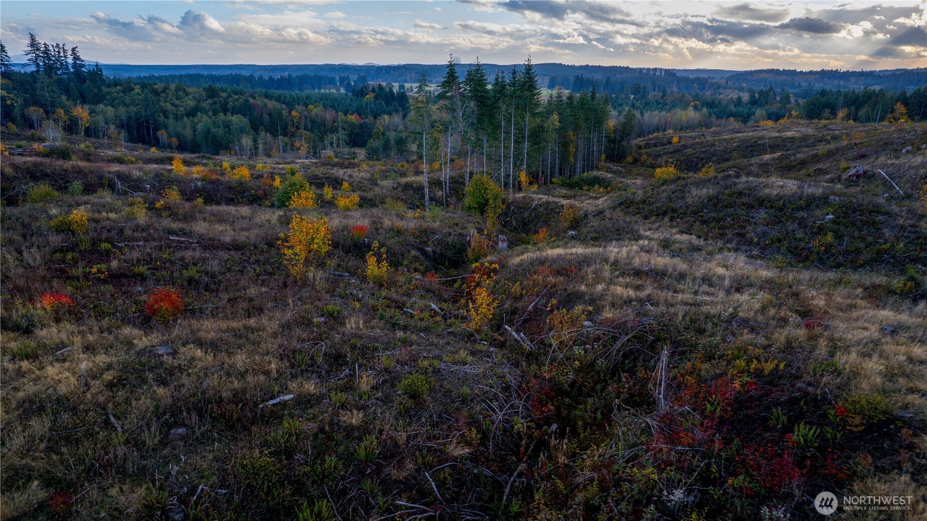 17942 Northcraft Road SE, Tenino, WA 98589