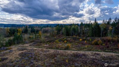 17942 Northcraft Road SE, Tenino, WA 98589 - Photo 5