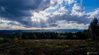 17942 Northcraft Road SE, Tenino, WA 98589 - Photo 9