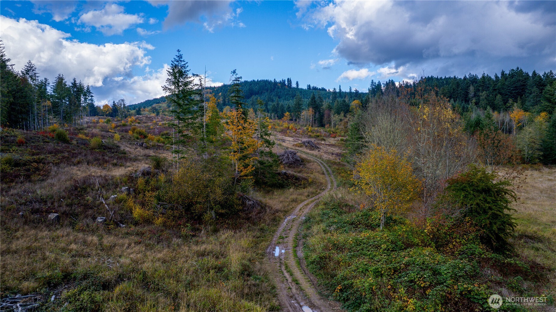 17942 Northcraft Road SE, Tenino, WA 98589