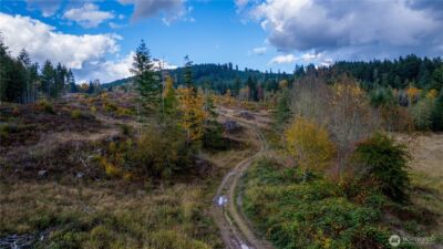 17942 Northcraft Road SE, Tenino, WA 98589 - Photo 10