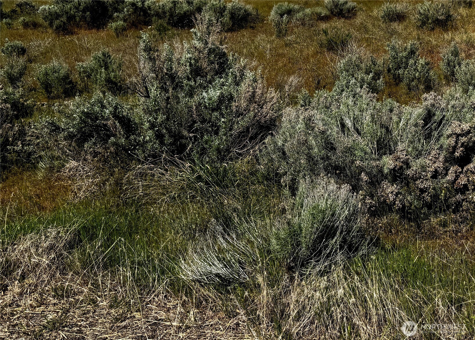 1404 E Hwy 28 , Soap Lake, WA 98851