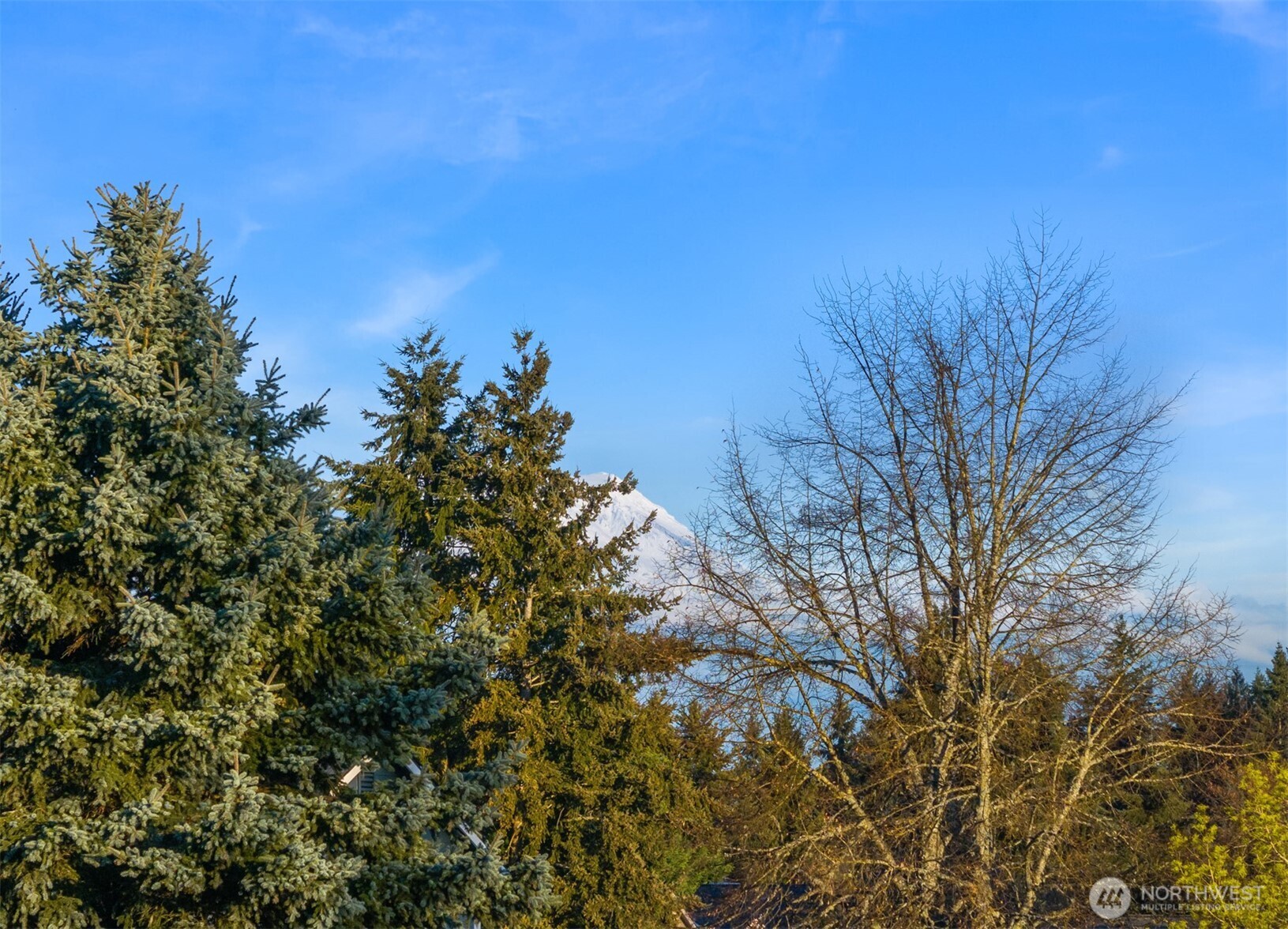 10601 192nd St Court E, Graham, WA 98338