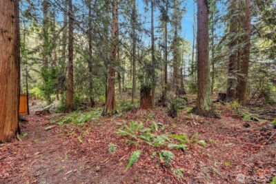 8909 55th Place W, Mukilteo, WA 98275 - Photo 28