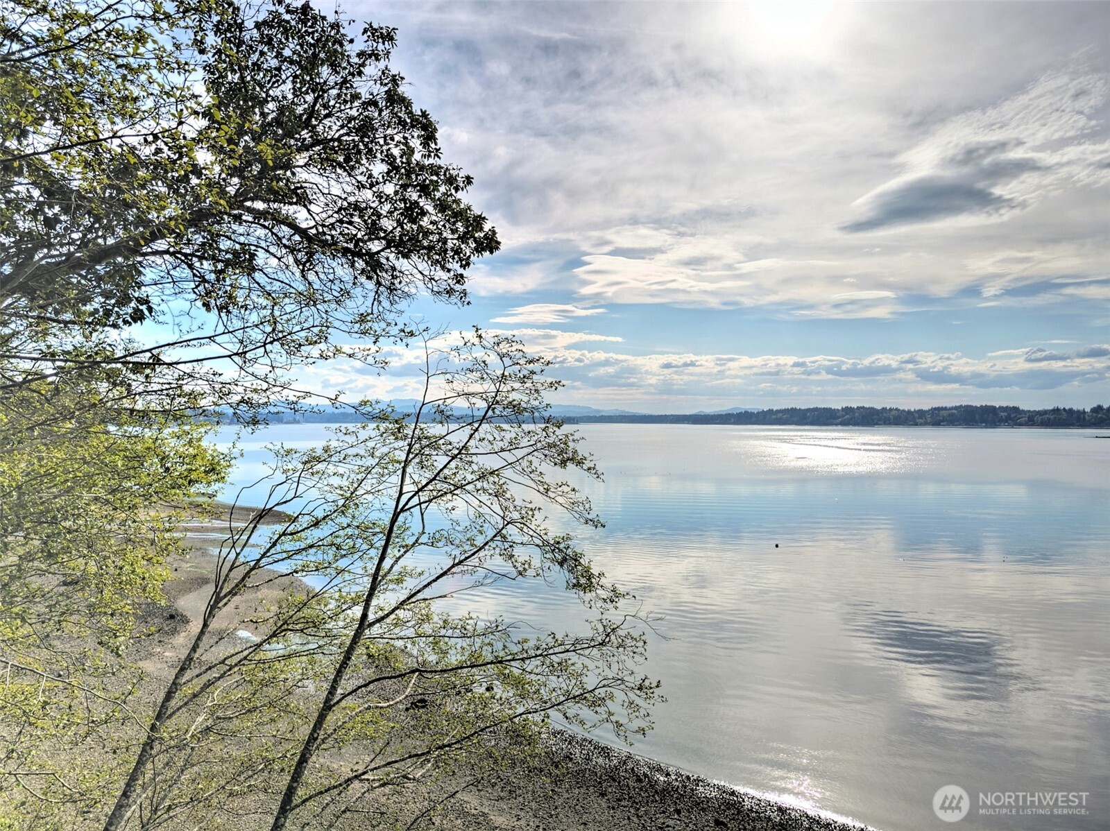 101 E Peale Drive , Shelton, WA 98584