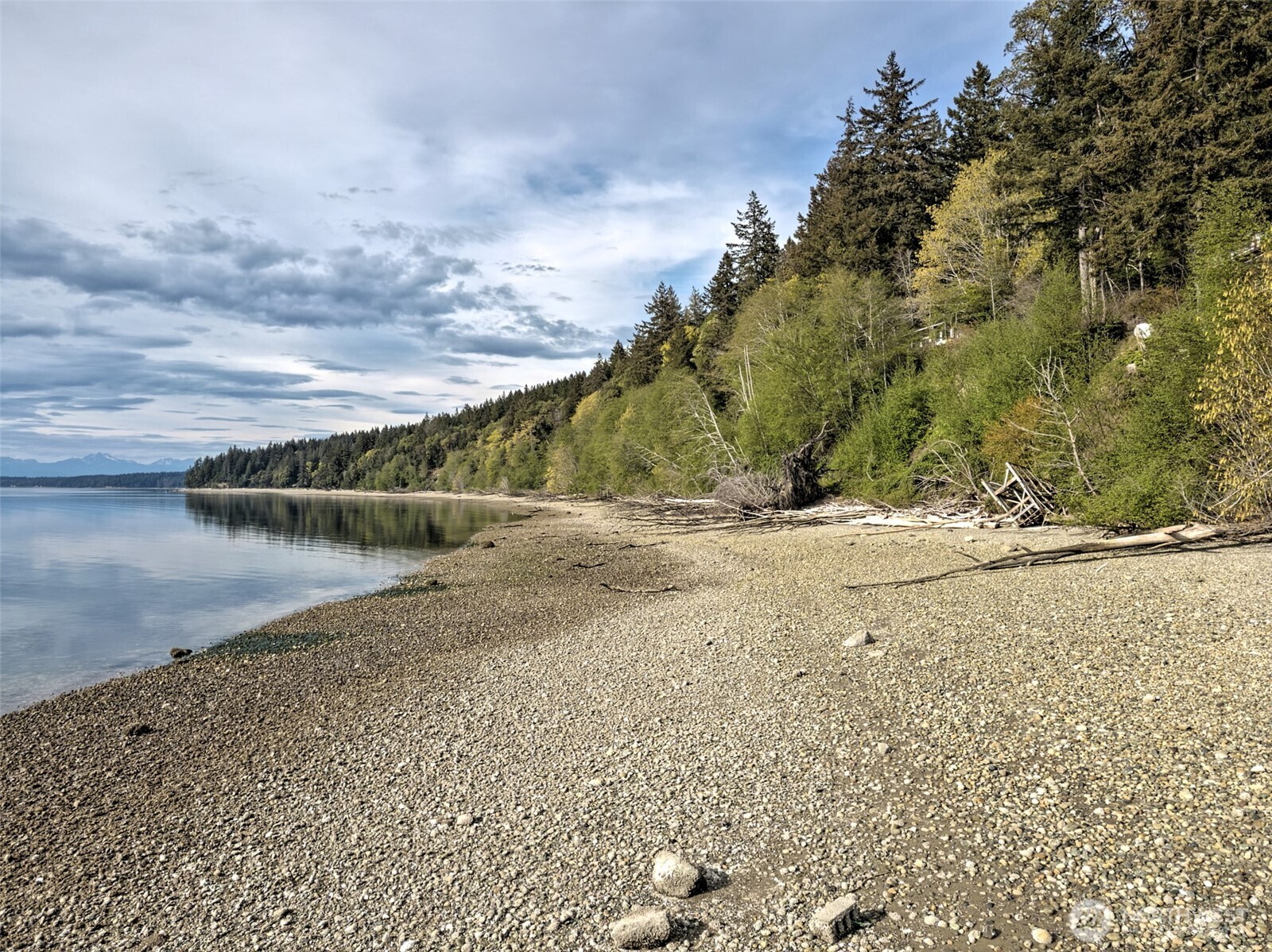 101 E Peale Drive , Shelton, WA 98584