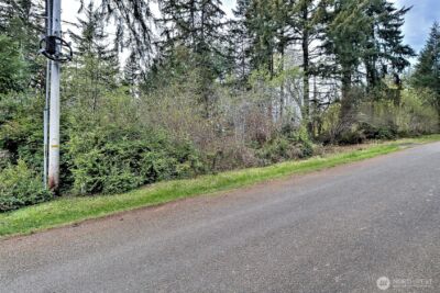 101 E Peale Drive , Shelton, WA 98584 - Photo 19