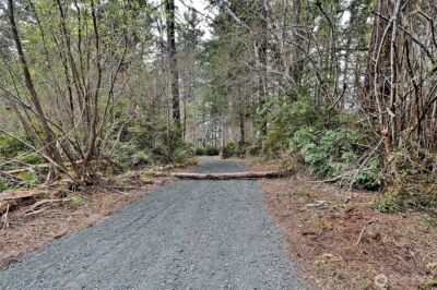 101 E Peale Drive , Shelton, WA 98584 - Photo 21