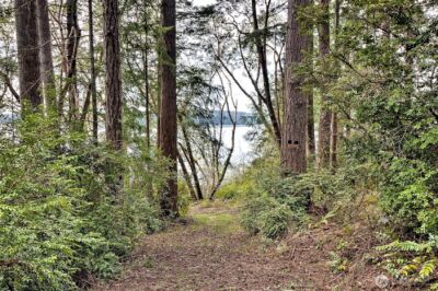 101 E Peale Drive , Shelton, WA 98584 - Photo 22