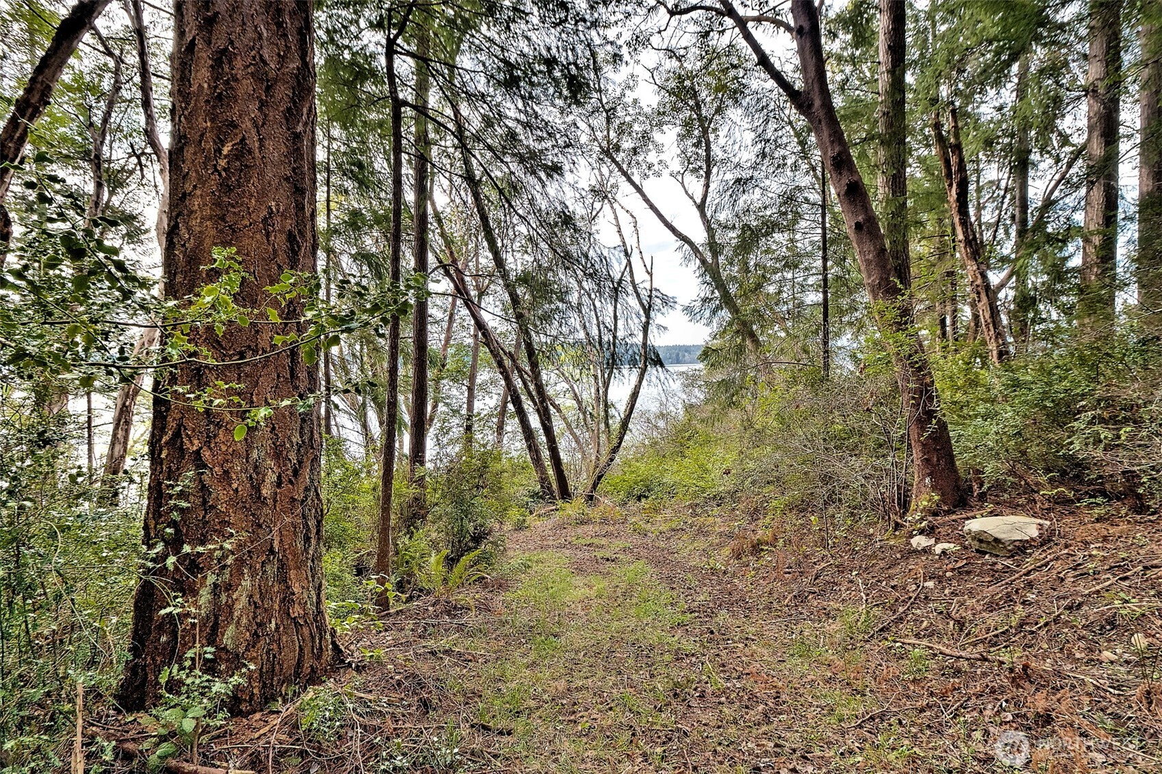 101 E Peale Drive , Shelton, WA 98584