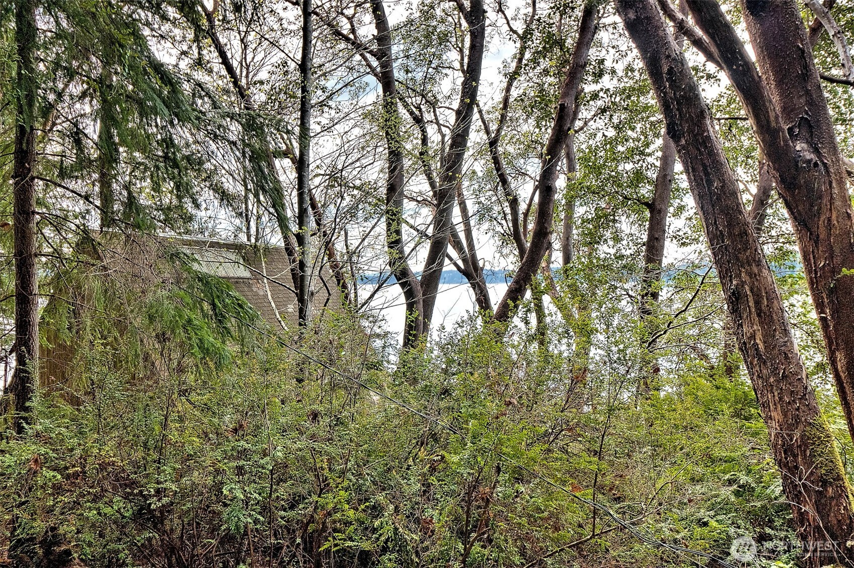 101 E Peale Drive , Shelton, WA 98584