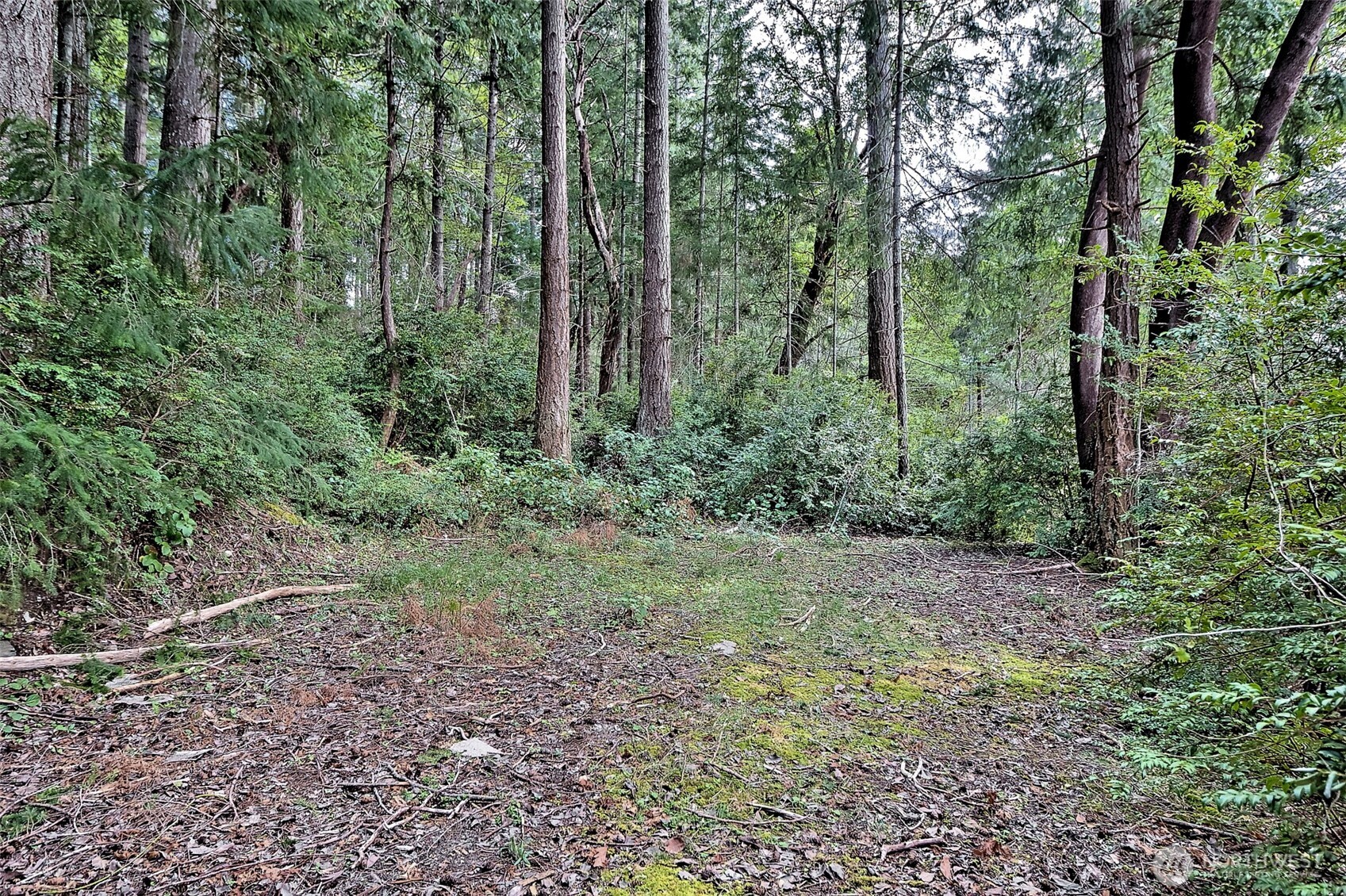 101 E Peale Drive , Shelton, WA 98584