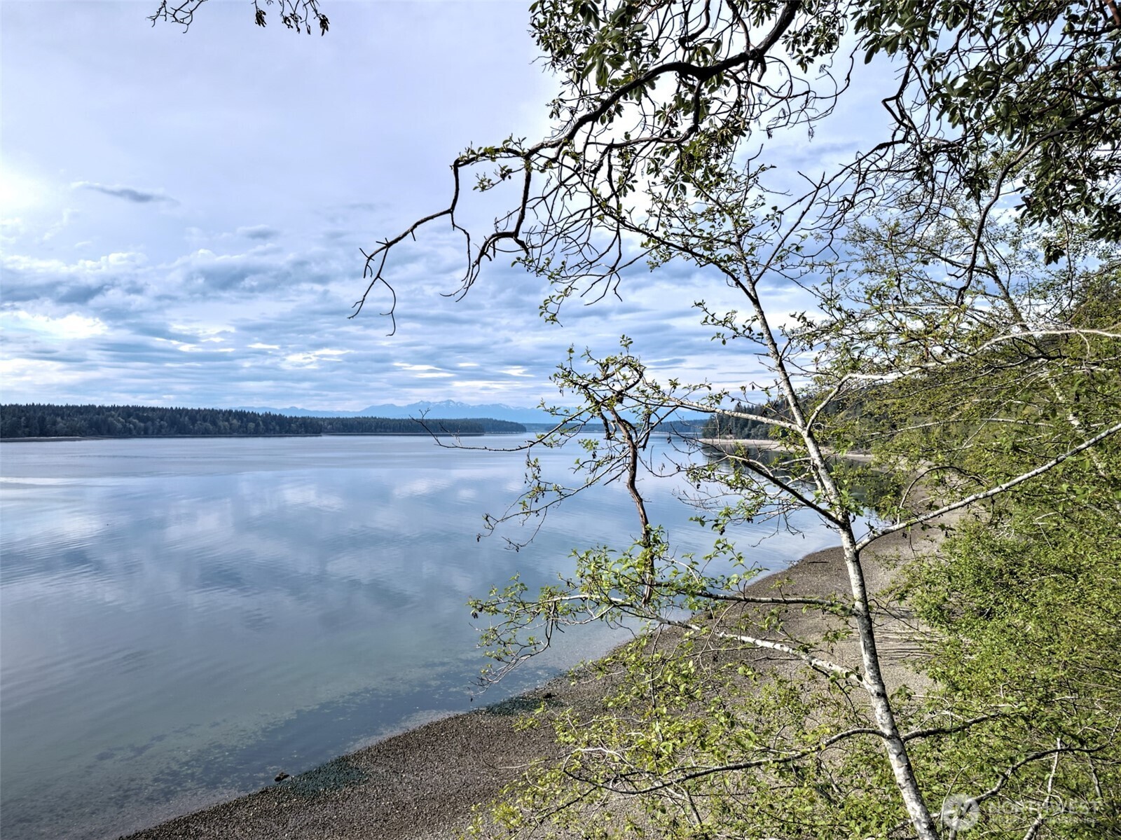 101 E Peale Drive , Shelton, WA 98584