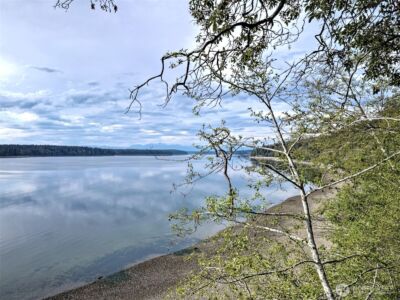 101 E Peale Drive , Shelton, WA 98584 - Photo 8