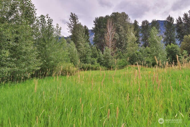 0 NNA Lake Wenatchee Highway , Lake Wenatchee, WA 98826