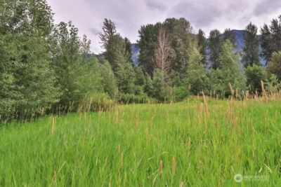 0 NNA Lake Wenatchee Highway , Lake Wenatchee, WA 98826 - Photo 5