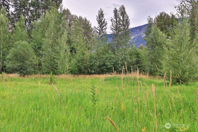 0 NNA Lake Wenatchee Highway , Lake Wenatchee, WA 98826