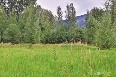 0 NNA Lake Wenatchee Highway , Lake Wenatchee, WA 98826 - Photo 6