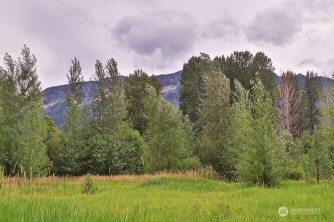 0 NNA Lake Wenatchee Highway , Lake Wenatchee, WA 98826