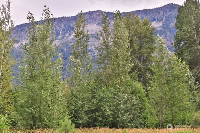 0 NNA Lake Wenatchee Highway , Lake Wenatchee, WA 98826