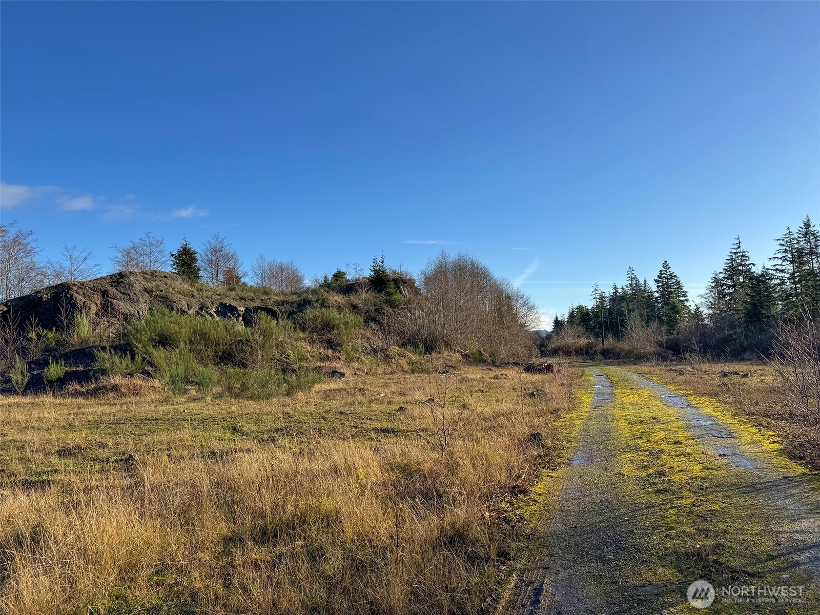 468 S Sekiu Airport Road , Sekiu, WA 98381