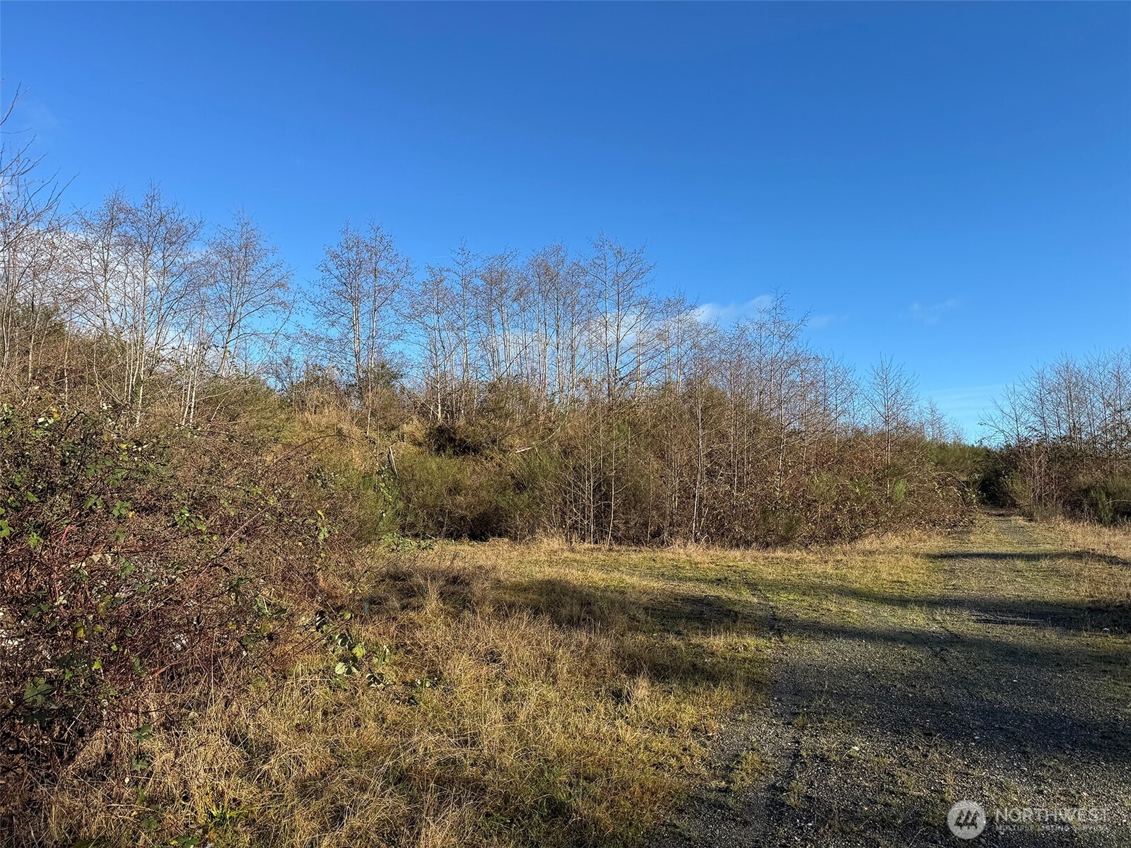 468 S Sekiu Airport Road , Sekiu, WA 98381