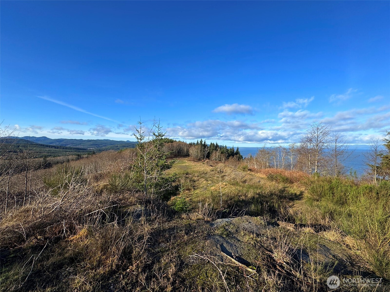 468 S Sekiu Airport Road , Sekiu, WA 98381