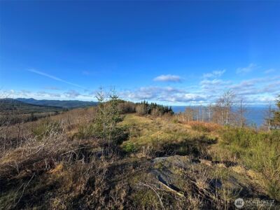 468 S Sekiu Airport Road , Sekiu, WA 98381 - Photo 26