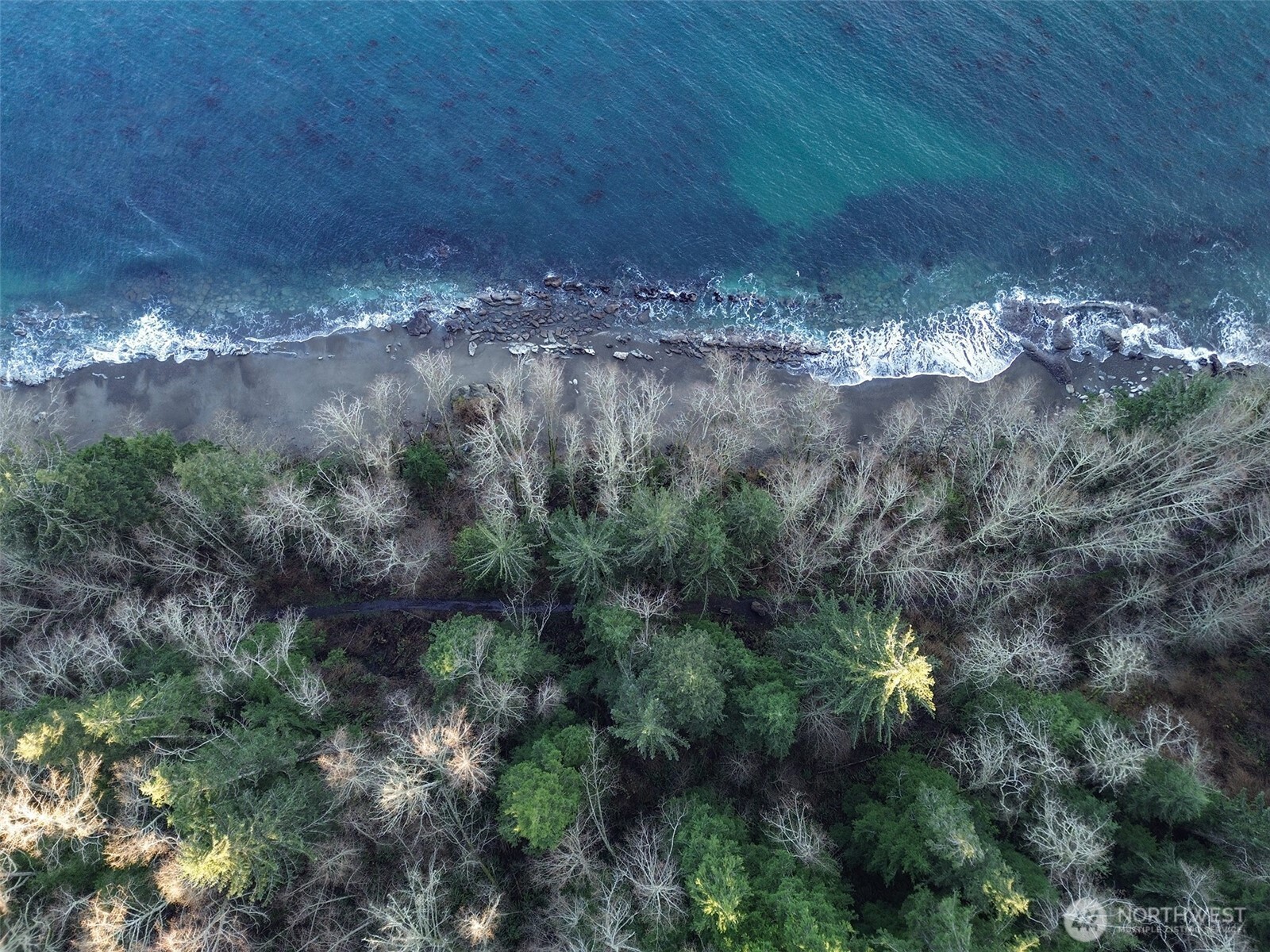 468 S Sekiu Airport Road , Sekiu, WA 98381