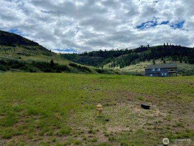 44225 Tyax Lane N, Wilbur, WA 99185 - Photo 1