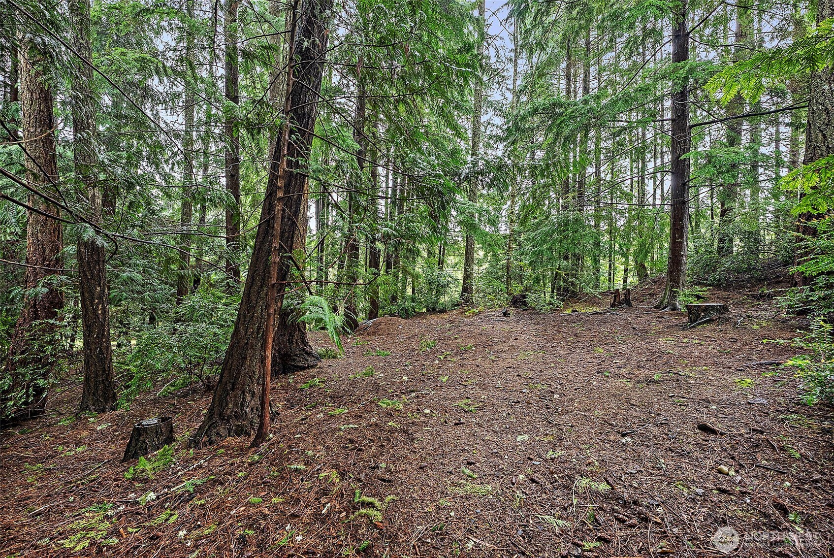 1795 SE Auburn Street , Port Orchard, WA 98367