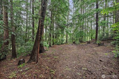 1795 SE Auburn Street , Port Orchard, WA 98367 - Photo 29