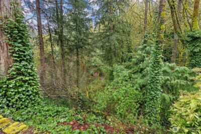 585 Mt Index Place SW, Issaquah, WA 98027 - Photo 32