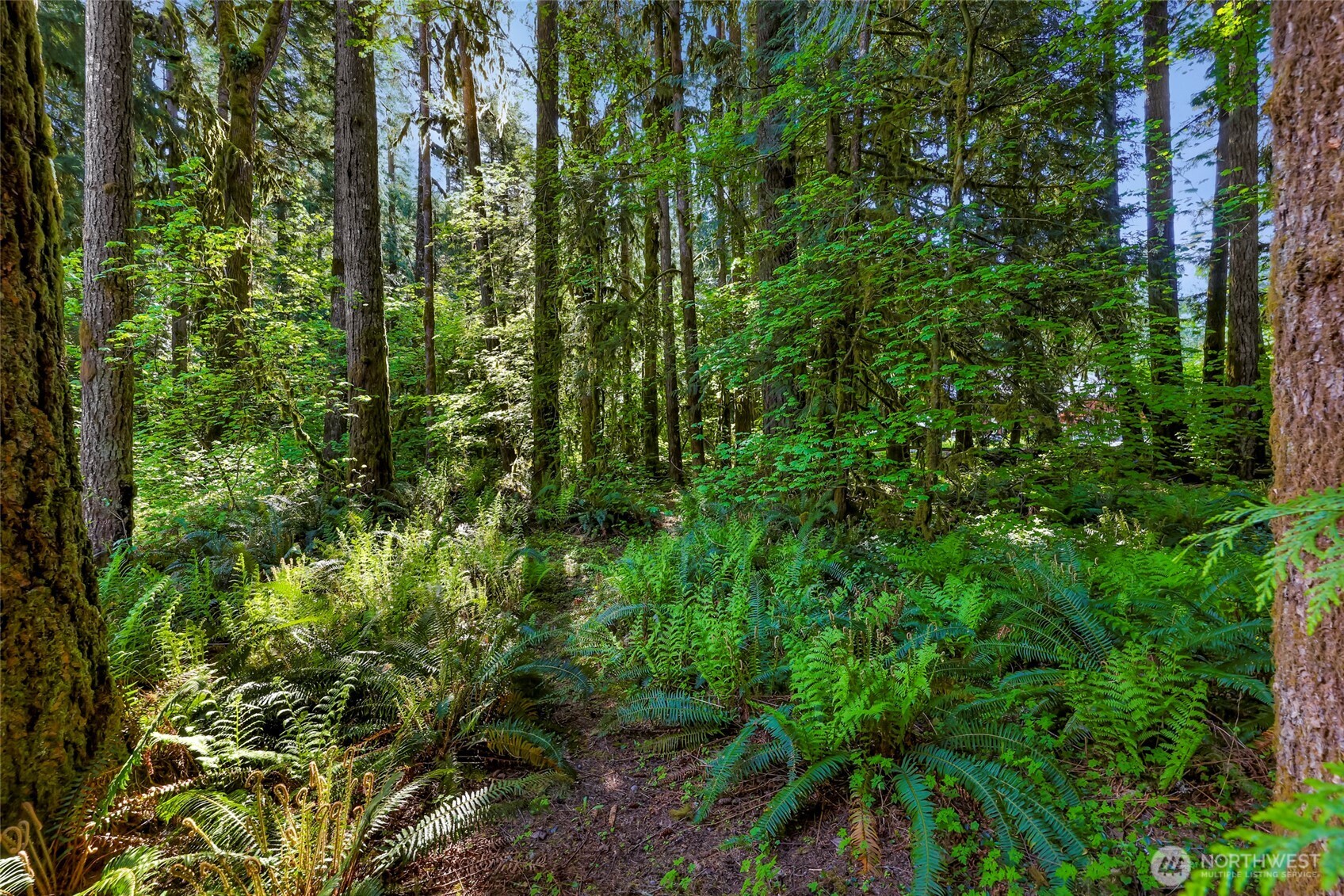 7010 Rainier Way , Deming, WA 98244