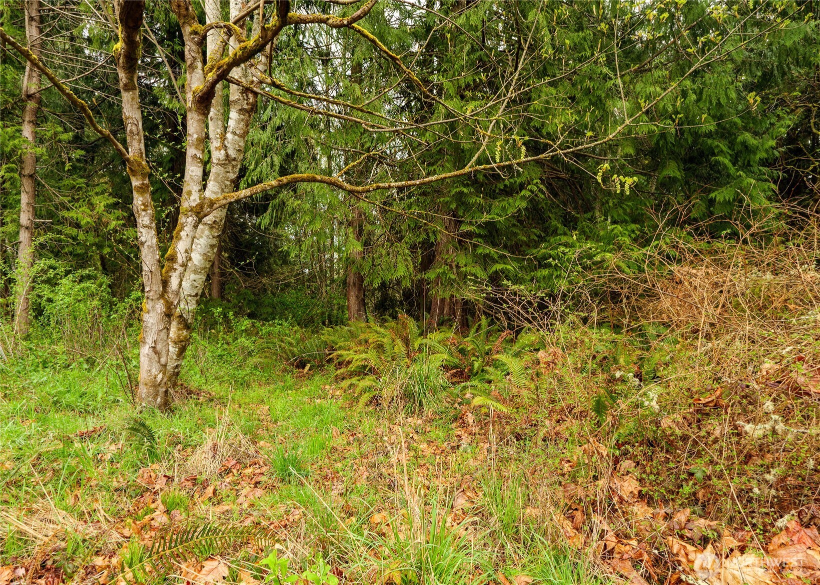 313 Weston Parkway , Sequim, WA 98382