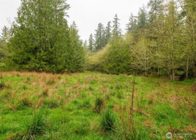 313 Weston Parkway , Sequim, WA 98382 - Photo 13