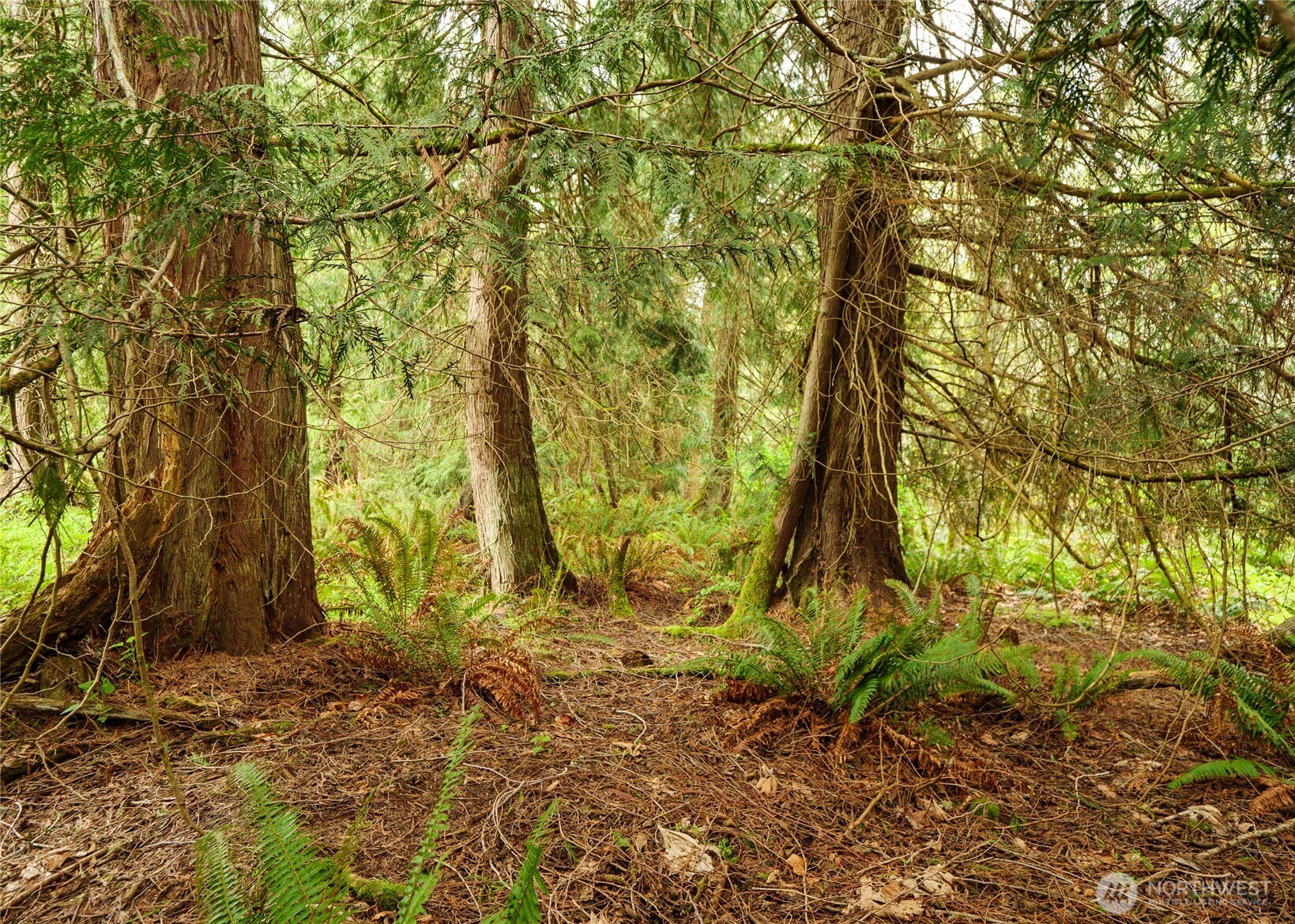 313 Weston Parkway , Sequim, WA 98382