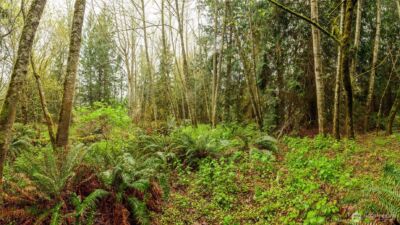313 Weston Parkway , Sequim, WA 98382 - Photo 19